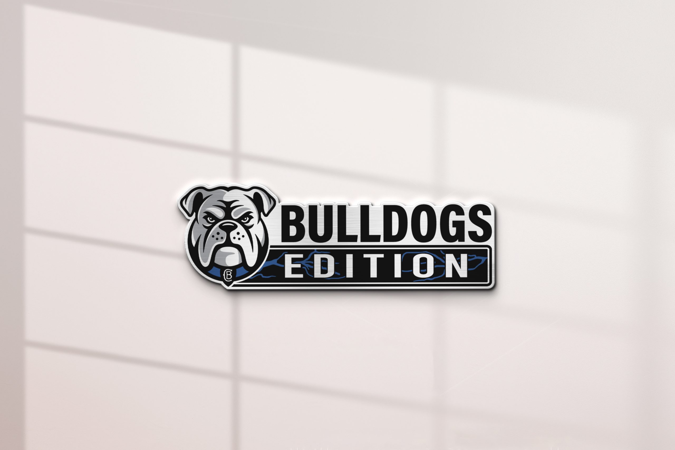 Logo Mockup Collection by Asylab