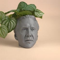 Nicolas Cage Head Planter
