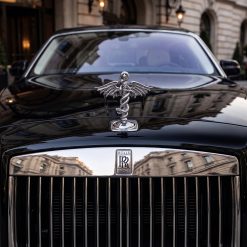 Mötley Crüe Caduceus Hood Ornament