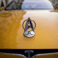 Star Trek Starfleet Delta Hood Ornament